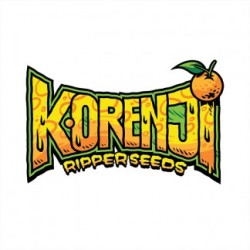Korenji - Ripper Seeds femminizzati