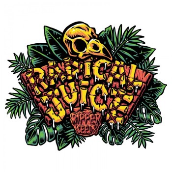 Radical Juice Auto 
- Tropicana Cookies x Runtz
- Dominanza Indica
- 70-75 giorni 2