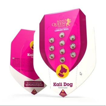 Kali Dog
- Chemdog x Sour Diesel
- Sativa 55% / Indica 45%
- 8-10 Settimane
- Fine Ottobre 2