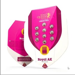 Royal Ak - Royal Queen Seeds femminizzati