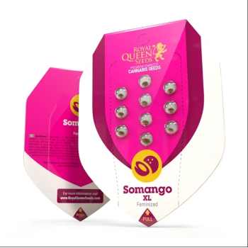 Somango XL
- Somango x Critical 47
- Indica 75% / Sativa 25%
- 8-10 Settimane
- Metà Settembre 2