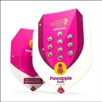 Pineapple Kush
- Pineapple x OG Kush
- Indica 80% / Sativa 20%
- 8-9 Settimane
- Metà Settembre 2