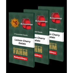 Lemon Cherry Gelato

- Sunset Sherbet Strain x Girl Scout Cookies

- Indica 60% / Sativa 40%

- 60-65 giorni