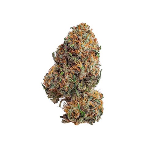 Bubblegum XL - Royal Queen Seeds femminizzati