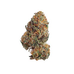 Bubblegum XL - Royal Queen Seeds femminizzati