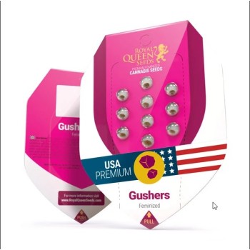 Gushers
- Gelato 41 x Triangle Kush
- Indica 60% / Sativa 40%
- 8-10 Settimane 
- Inizio Ottobre 2