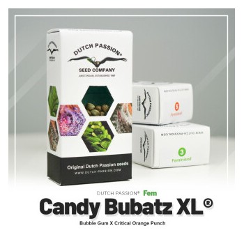 Candy Bubatz XL - Dutch Passion femminizzati 2