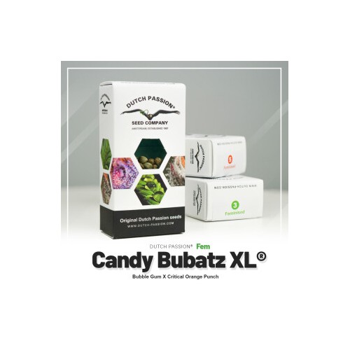 Candy Bubatz XL - Dutch Passion femminizzati