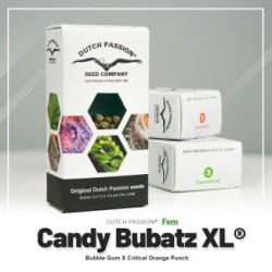Candy Bubatz XL - Dutch Passion femminizzati