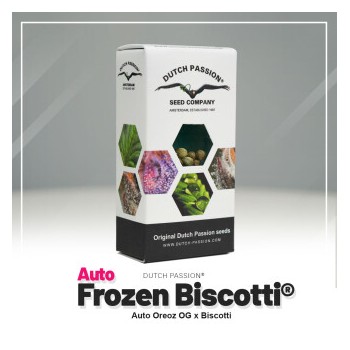 Auto Frozen Biscotti - Dutch Passion femminizzati 2