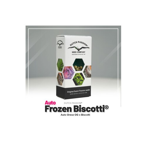 Auto Frozen Biscotti - Dutch Passion femminizzati