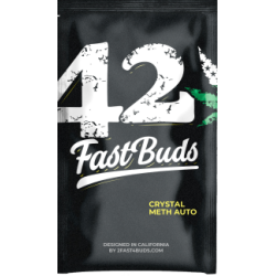 Crystal Meth Auto - Fast Buds femminizzati