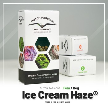 Ice Cream Haze
- Haze x  Ice Cream Cake (Gelato x Wedding Cake)
- Dominanza Sativa
- 8-10 Settimane 2