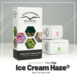 Ice Cream Haze - Dutch Passion femminizzati