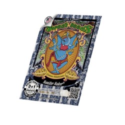 Monster Maker - Sweet Seeds femminizzati