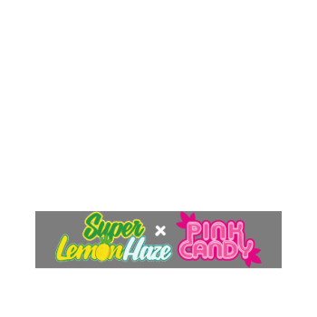 Super Lemon Haze X Pink Candy - Green House Seeds 2