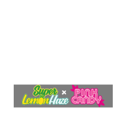 Super Lemon Haze X Pink Candy - Green House Seeds