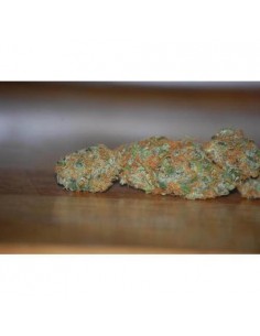 Vertigo AUTO- Paradise Seeds femminizzati Paradise Seeds €23,00 2