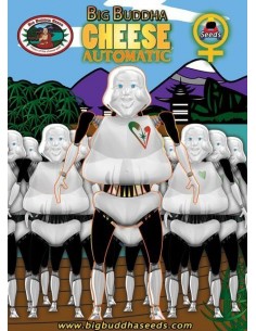 Cheese Auto - Big Buddha Seeds femminizzati Big Buddha Seeds €35,00 2