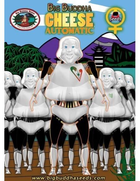 Cheese Auto - Big Buddha Seeds femminizzati Big Buddha Seeds €35,00