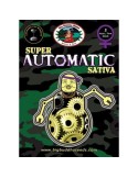 Super Automatic Sativa - Big Buddha Seeds femminizzati Big Buddha Seeds €35,00