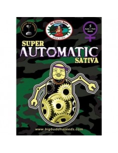 Super Automatic Sativa - Big Buddha Seeds femminizzati Big Buddha Seeds €35,00 2