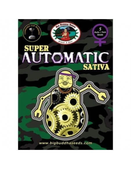 Super Automatic Sativa - Big Buddha Seeds femminizzati Big Buddha Seeds €35,00