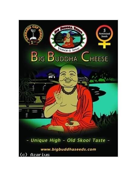 Big Buddha Cheese - Big Buddha Seeds femminizzati Big Buddha Seeds €35,00 Big Buddha Cheese - Big Buddha Seeds femminizzati Big Buddha Seeds €35,00