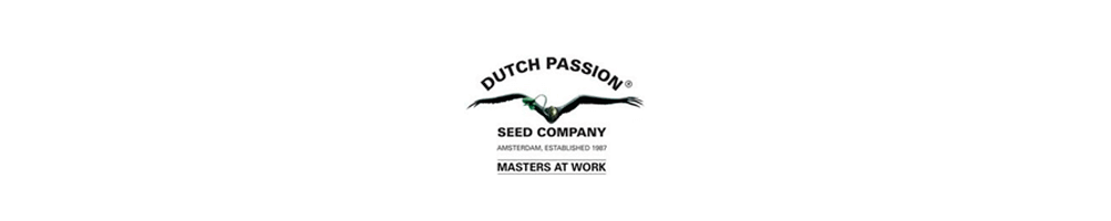 Semi di cannabis Dutch Passion