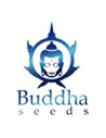 Buddha Seeds