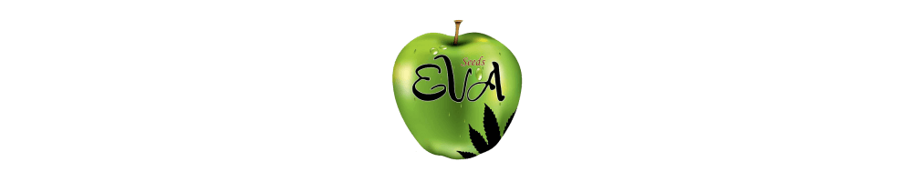 Semi di cannabis Eva Seeds