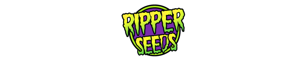 Semi di cannabis Ripper Seeds