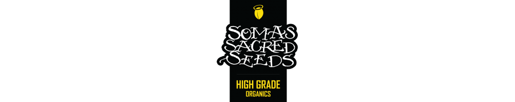 Semi di cannabis Soma Seeds