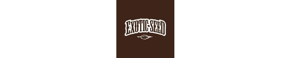 Semi di cannabis Exotic Seed