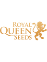 Royal Queen Seeds