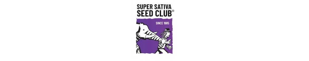 Semi di cannabis Super Sativa Seed Club