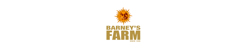 Semi di cannabis Barney's Farm