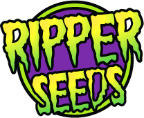 Ripper Seeds