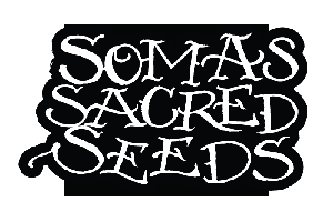 Soma Seeds