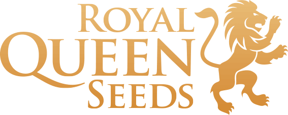 Royal Queen Seeds